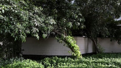 The grounds surrounding the Residence and embassy, with their expansive lawns and mature trees, have also played their part in supporting the UK mission in Abu Dhabi. Christopher Pike / The National