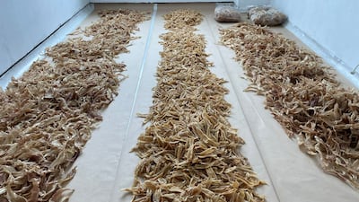 Colombian authorities confiscated a shipment of 3,493 shark fins which were to be illegally trafficked to Hong Kong. Reuters