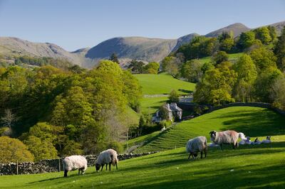 The Cumbria countryside offers a digital detox retreat with Yoga Retreats & More. Getty Images