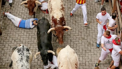 Steers and bulls from the Ranch of Torrestrella enter the bullring during the second day of the San Fermin Running Of The Bulls festival, on July 7, 2014 in Pamplona, Spain. The annual Fiesta de San Fermin, made famous by the 1926 novel of US writer Ernest Hemmingway The Sun Also Rises, involves the running of the bulls through the historic heart of Pamplona, Getty Images