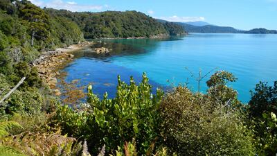 Travellers headed to New Zealand now need to apply for electronic authorisation at least 72 hours ahead of travel