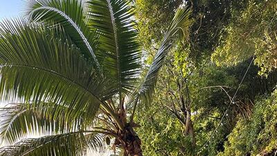 A secluded private beach at Hilton Seychelles Northolme Resort & Spa. Courtesy Hilton Seychelles Northolme Resort & Spa