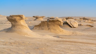 The Al Wathba site is comprised of more than 1,700 fossil dunes spread over 7 sq km.
