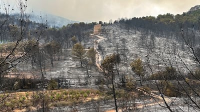 Authorities remain hopeful that firefighters are on the verge of containing the ferocious flames. AP