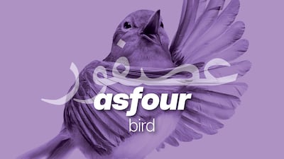 The Arabic word for bird is asfour. Photo: The National