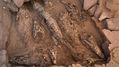 The amazing find in the undisturbed tomb. Photo: Patricia Mora Riudavets
