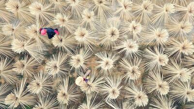 Villagers work on drying bamboo products in bunches for making chopsticks in Lijiang county, Jian, Jiangxi province, China. Reuters