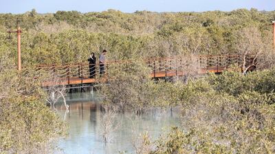 The park aims to enhance the awareness, appreciation and understanding of the important ecological function of mangrove habitats that include protection of the Abu Dhabi Coastline and supporting biodiversity. Photo: Antonie Robertson / The National
