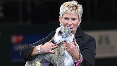 Owner Yvette Short holds "Collooney Tartan Tease" (Tease), the Whippet, winner of the Best in Show competition on the final day of the Crufts dog show at the National Exhibition Centre. AFP