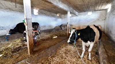 Reservoirs have been drying up