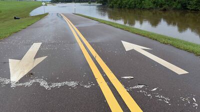 Dead fish litter a water-blocked access road to the Pearl River in Jackson, Mississippi. EPA