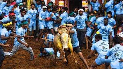 Participants try to control a bull. AFP