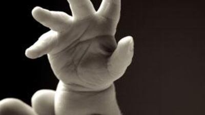 Babies are able to use their hands to indicate what they want long before they can talk.