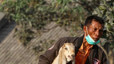 A villager rescues his livestock. The authorities have raised Mount Semeru's alert status to the highest level following its eruption early on Sunday. EPA