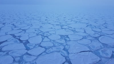 Sea ice in 2017 forming through the 'pancake cycle'. The characteristic raised rims are caused when the pancakes crash into each other through wind and wave action.