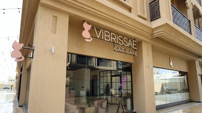 Vibrissae Cat Cafe currently only serves beverages, with the iced rose latte being its signature.