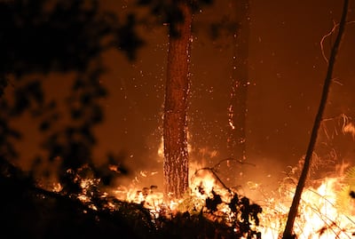 Wildfires in Luglon, south-western France. AFP