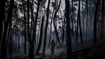 A firefighter works to extinguish a wildfire at Casais do Vento in Alvaiazere, Portugal. About 1,500 personnel have been mobilised to put out three wildfires raging for more than 48 hours in central and northern parts of the country. AFP
