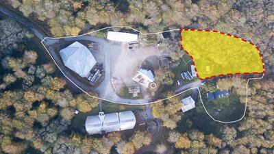 Site view of the Hooke Garden pavilion located at Hooke Park, a 142-hectare woodland in Dorset, England