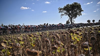 The peloton during Stage 11. AFP