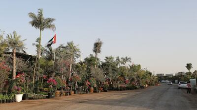 The plant souq is in the Al Warsan area of Dubai.