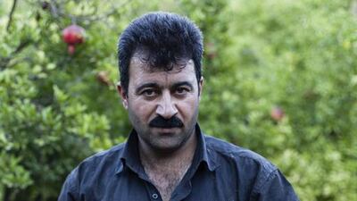 The area’s semi-arid climate and nutrient-rich soil allow it to flourish.