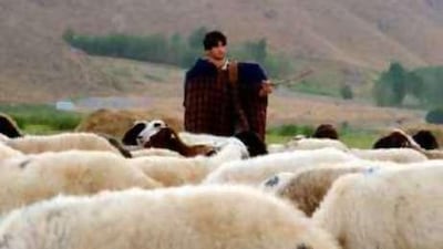 Irfan Toreci, a shepherd with only one arm, has used his celebrity to draw attention to living conditions in south-eastern Anatolia.