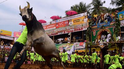 A participants tries to control a bull. AFP