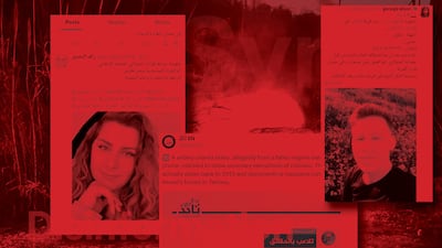 Syria disinformation