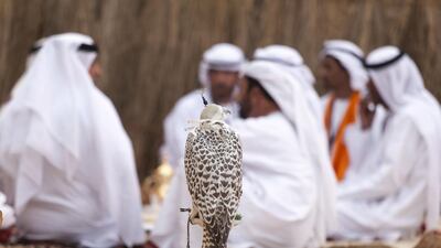 The Qasr Al Hosn Festival is the perfect place to learn how falcons became such an essential part of the local culture and came to feature so prominently as a national tradition. Silvia Razgova / EAA