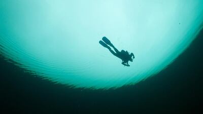 Into the darkness: Fan, the 16-year-old heroine of Chang-Rae Lee’s dystopian novel On Such a Full Sea, is employed harvesting the best fish for the wealthy to eat. Liz Rogers / Barcroft Media / Getty Images