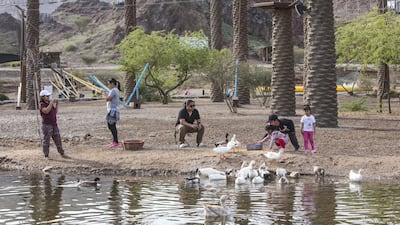 Hatta Wadi Hub is about 90 minutes from Dubai. Leslie Pableo for The National