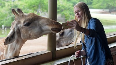 A tourist takes a selfie with a giraffe.
