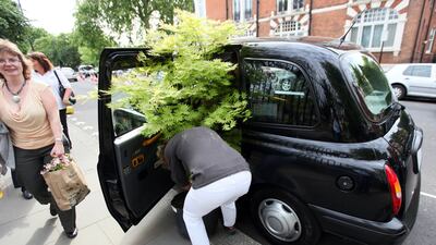 A woman attempts to get a tree purchased on the last day of the Chelsea Flower Show in a taxi in 2009