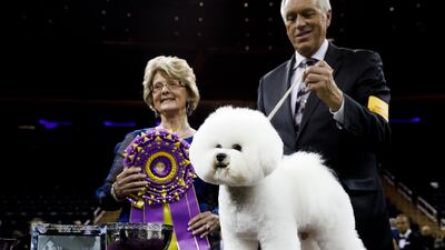 A Bichon Frise named Flynn stands with handler Bill McFadden, right, and judge Betty-Anne Stenmark, left, after winning 'Best In Show' at the 2018 Westminster Kennel Club Dog Show. EPA