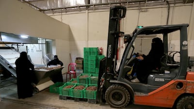 A Saudi woman drives a forklift to transport dates at a factory in Al Ahsa, Saudi Arabia. Reuters