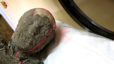 The CAT study has added more detail to previous findings. Ciro De Luca / Reuters