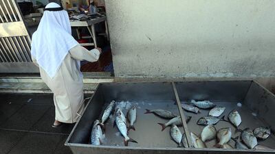 Fishermen say they are losing as much as Dh4,000 a day since the ban took effect. Satish Kumar / The National