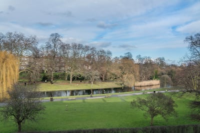 The views over Regent's Park from Silk House. Photo: Aston Chase