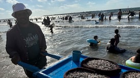 A man selling seafood on a beach in Egypt’s Mediterranean resort of Ras El Bar north of Cairo. Hamza Hendawi / The National