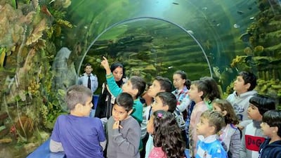 Children exploring the underwater world at Sharjah Aquarium. Courtesy Sharjah Aquarium