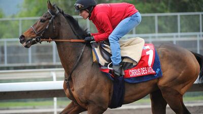 Cirrus Des Aigles returns to Hong Kong for another campaign at Sha Tin Racecourse. Vince Caligiuri / Getty Images