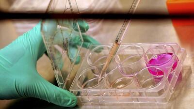 Biomedical researchers worldwide are learning to use stem cells to create body parts and even entire organs. Noah Berger / Bloomberg