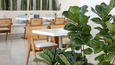 Zoe Modern Greek Kouzina is at Marsa Al Bateen in Abu Dhabi