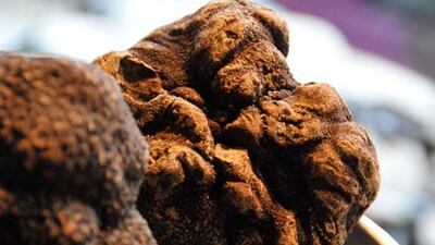 Eating seasonally is at the heart of what makes French cuisine so pleasurable. Courtesy Salon Saveurs des Plaisirs Gourmands 2011