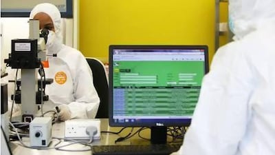 A lab technician working in the new Central Veterinary Research Laboratory in Dubai . Pawan Singh / The National