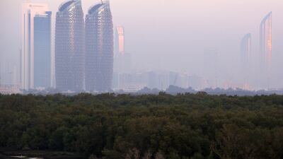 The mangroves area on a hazy morning