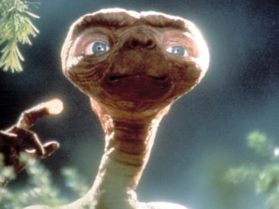 The aye-aye's long finger resembles that of Steven Spielberg's E.T. Photo: Rex Features