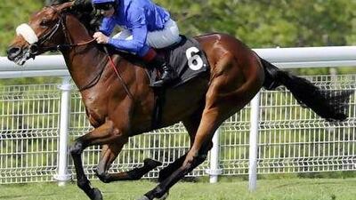 Rewilding will prepare for the Doncaster Classic by taking part at York on Tuesday.