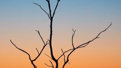 Sunrise above a foggy field near Altranft, Germany. Patrick Pleul / EPA